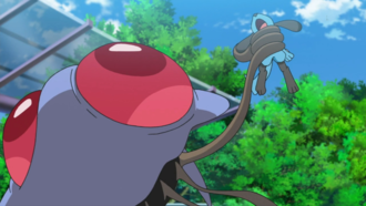 Tentacruel de una entrenadora usando Atadura.