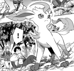 Riku - WikiDex, la enciclopedia Pokémon