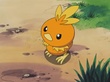 Torchic