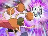 Butterfree