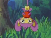 Aipom