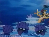 Shellder