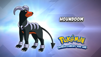 Houndoom.