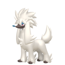 Furfrou macho