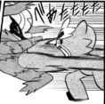 Accelgor
