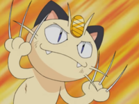 Meowth usando golpes furia.