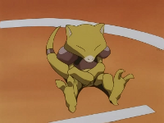 Abra