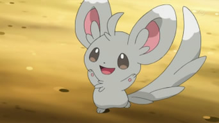 Imagen de Minccino