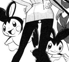 Emolga de Elesa/Emolga de Camila