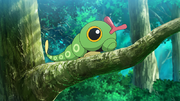 EP1231 Caterpie.png