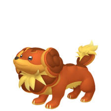 Dachsbun macho
