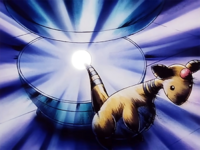 Sparkle/Chispa usando destello.