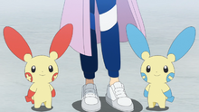 Aroa junto a Plusle y Minun.