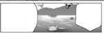 Staraptor