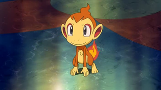 Imagen de Chimchar