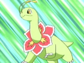 Meganium