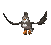 Imagen de Staravia hembra en Pokémon X, Pokémon Y, Pokémon Rubí Omega, Pokémon Zafiro Alfa, Pokémon Sol, Pokémon Luna, Pokémon Ultrasol y Pokémon Ultraluna