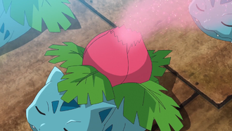 Ivysaur salvaje usando Dulce Aroma.