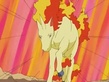 Rapidash