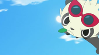 Pancham usando empujón.