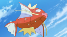 Magikarp