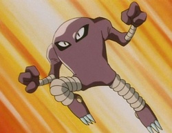 Hitmonlee de Shiro