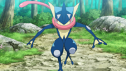 EP1197 Greninja de Ash.png