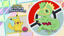 Kecleon.