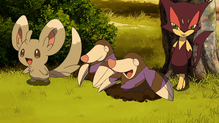 Imagen de Minccino