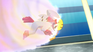Furfrou de Everett usando gigaimpacto.