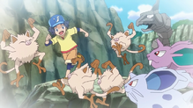 Onix