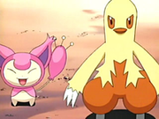 EP398 Skitty y Combusken.png