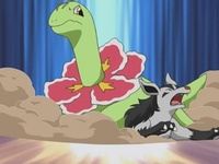 Meganium usando golpe cuerpo.