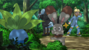 EP892 Bunnelby y Oddish.png