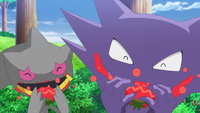 Banette y Haunter de la isla.