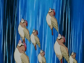 Pidgeotto