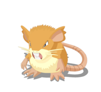 Raticate