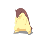 Acicalada variocolor