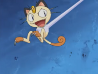 Meowth usando golpes furia.