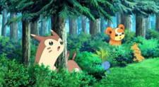 Sentret