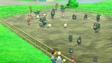Gogoat