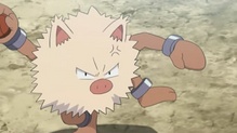 Primeape