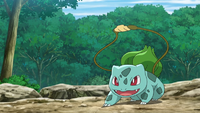 Bulbasaur usando látigo cepa.