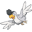 Squawkabilly blanco (dream world) 2.png