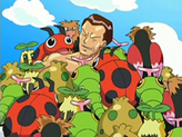 Ledyba