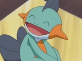Marshtomp