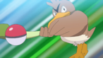 Farfetch’d