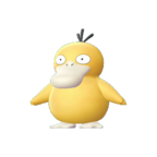 Psyduck