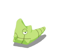 Metapod