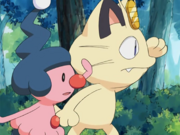 EP431 Meowth y Mime Jr..png